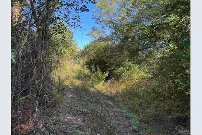 0 Pleasant Hill Rd, Century, FL 32535 - Photo 5