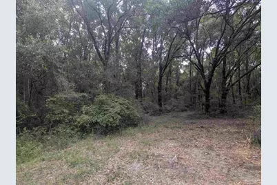 8271 Mobile Hwy, Pensacola, FL 32526 - Photo 61