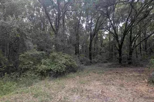 8271 Mobile Hwy, Pensacola, FL 32526 - Photo 61