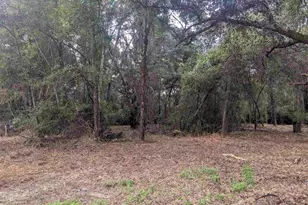 8271 Mobile Hwy, Pensacola, FL 32526 - Photo 53