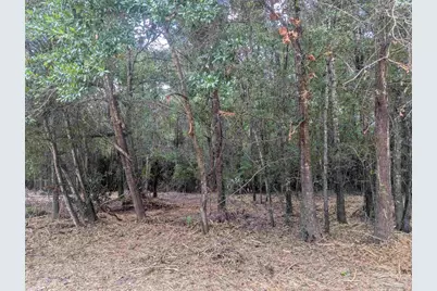 8271 Mobile Hwy, Pensacola, FL 32526 - Photo 51