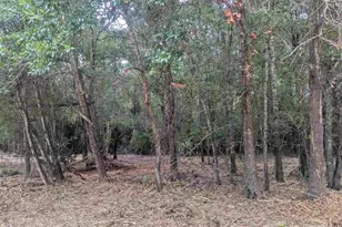 8271 Mobile Hwy, Pensacola, FL 32526 - Photo 51