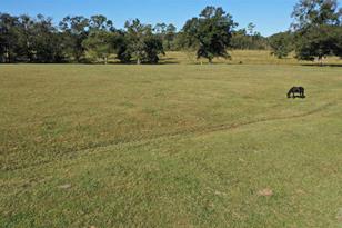 1011 Jacks Branch Rd - Photo 5