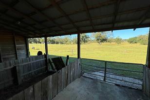 1011 Jacks Branch Rd - Photo 43
