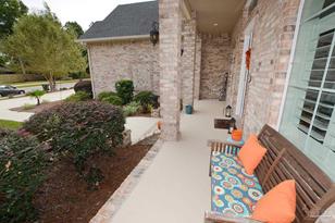 8891 Foxtail Loop - Photo 5