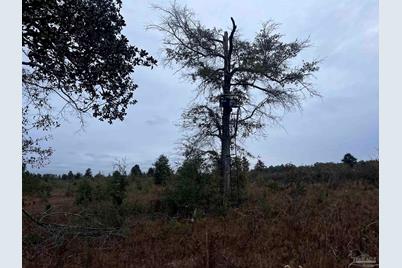 000 Tanner Ridge Rd, Milton, FL 32570 - Photo 13