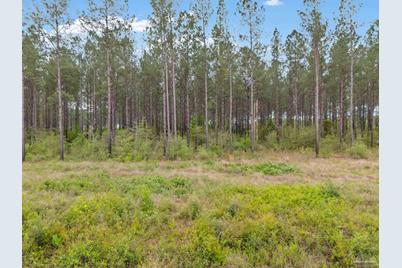 Lot 3 Mineral Springs Rd - Photo 1