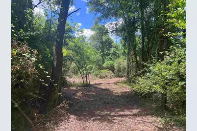 10961 Hwy 97, McDavid, FL 32568 - Photo 1