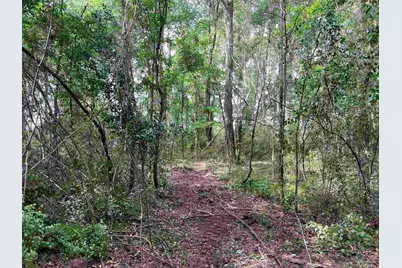 10961 Hwy 97, McDavid, FL 32568 - Photo 3