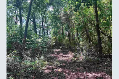 10961 Hwy 97, McDavid, FL 32568 - Photo 7