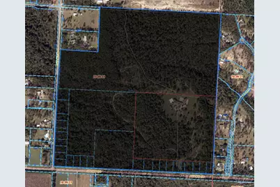 2600 Barrineau Park Rd, Molino, FL 32577 - Photo 47