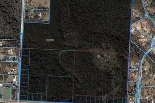 2600 Barrineau Park Rd, Molino, FL 32577 - Photo 47