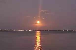 825 Bayshore Dr, Pensacola, FL 32507 - Photo 15