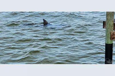 825 Bayshore Dr #1203, Pensacola, FL 32507 - Photo 7