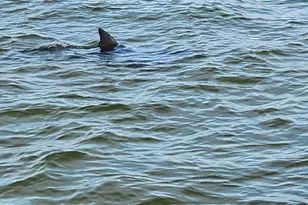 825 Bayshore Dr, Pensacola, FL 32507 - Photo 7