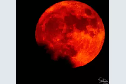 2141 N Hwy 97, Molino, FL 32577 - Photo 23