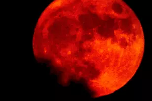 2141 N Hwy 97, Molino, FL 32577 - Photo 23