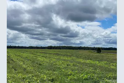 5700 Block Pine Forest Rd, Walnut Hill, FL 32568 - Photo 17