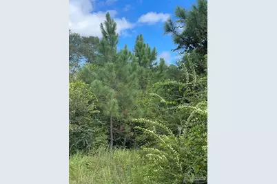 5700 Block Pine Forest Rd, Walnut Hill, FL 32568 - Photo 11