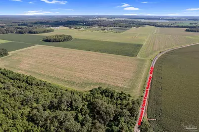 5700 Block Pine Forest Rd, Walnut Hill, FL 32568 - Photo 5