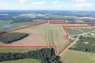 5700 Block Pine Forest Rd, Walnut Hill, FL 32568 - Photo 1