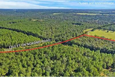 0 Nokomis Rd, Walnut Hill, FL 32568 - Photo 11