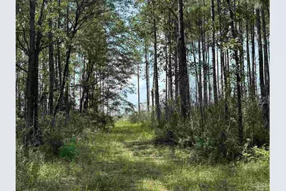0 Nokomis Rd, Walnut Hill, FL 32568 - Photo 31