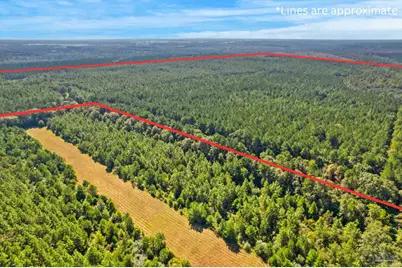 0 Nokomis Rd, Walnut Hill, FL 32568 - Photo 33