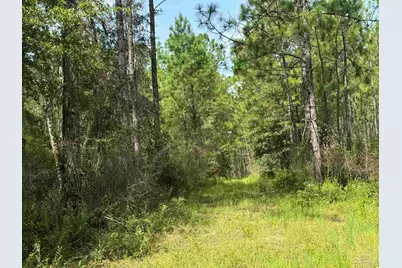 0 Nokomis Rd, Walnut Hill, FL 32568 - Photo 29