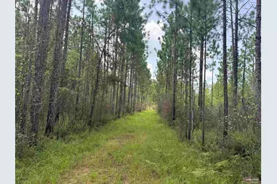 0 Nokomis Rd, Walnut Hill, FL 32568 - Photo 27