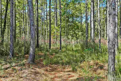 0 Nokomis Rd, Walnut Hill, FL 32568 - Photo 23