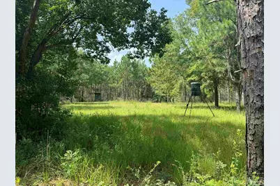 0 Nokomis Rd, Walnut Hill, FL 32568 - Photo 3