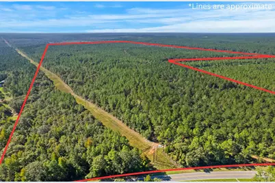 0 Nokomis Rd, Walnut Hill, FL 32568 - Photo 5