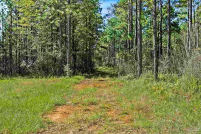 0 Nokomis Rd, Walnut Hill, FL 32568 - Photo 15