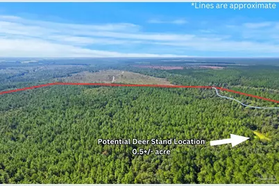 0 Nokomis Rd, Walnut Hill, FL 32568 - Photo 9