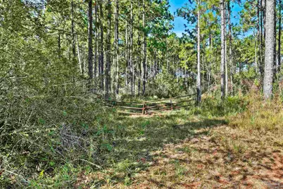 0 Nokomis Rd, Walnut Hill, FL 32568 - Photo 13