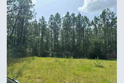 0 Nokomis Rd, Walnut Hill, FL 32568 - Photo 17