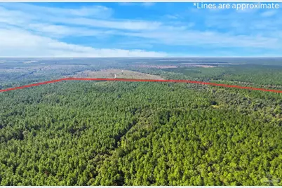 0 Nokomis Rd, Walnut Hill, FL 32568 - Photo 35