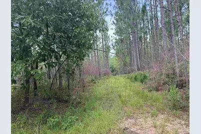 0 Nokomis Rd, Walnut Hill, FL 32568 - Photo 25