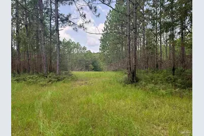 0 Nokomis Rd, Walnut Hill, FL 32568 - Photo 1