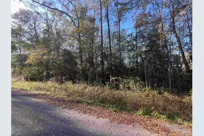 Brickyard At Blake, Molino, FL 32577 - Photo 7