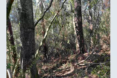 1046 Fleming Dr, Pensacola, FL 32534 - Photo 9