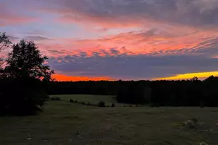 3843 Wilder Rd, Cantonment, FL 32533 - Photo 7