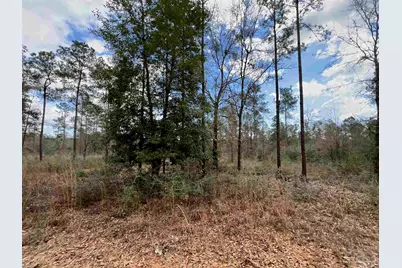 Lot 73 Cascade Dr, Pace, FL 32571 - Photo 5