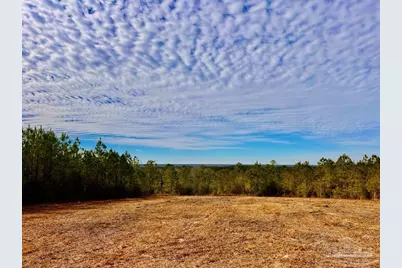 Lot 13 Br Buffalo Ridge Rd, Pace, FL 32571 - Photo 19