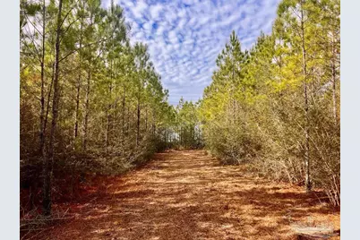 Lot 13 Br Buffalo Ridge Rd, Pace, FL 32571 - Photo 7