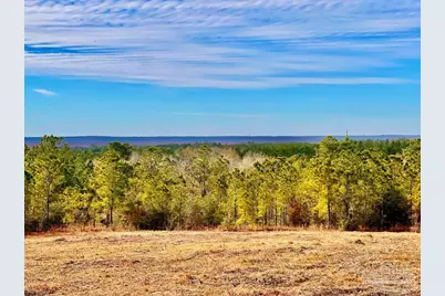 Lot 13 Br Buffalo Ridge Rd, Pace, FL 32571 - Photo 11