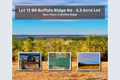Lot 13 Br Buffalo Ridge Rd, Pace, FL 32571 - Photo 1