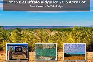 Lot 13 Br Buffalo Ridge Rd, Pace, FL 32571 - Photo 1