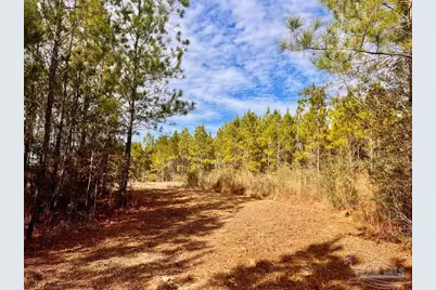 Lot 13 Br Buffalo Ridge Rd, Pace, FL 32571 - Photo 9